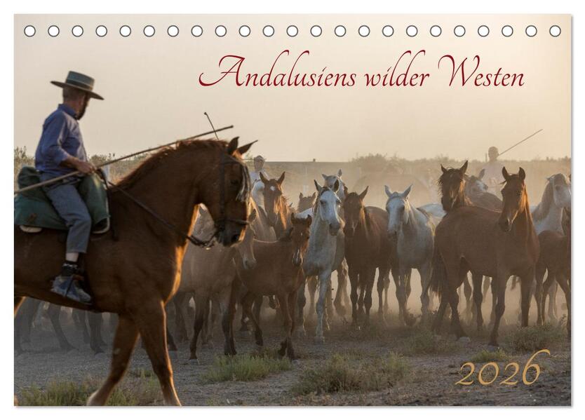 Pferde - Andalusiens wilder Westen (Tischkalender 2026 DIN A5 quer) CALVENDO Monatskalender