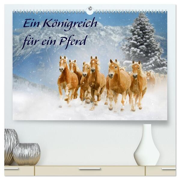 Ein Königreich für ein Pferd (hochwertiger Premium Wandkalender 2026 DIN A2 quer) Kunstdruck in Hochglanz