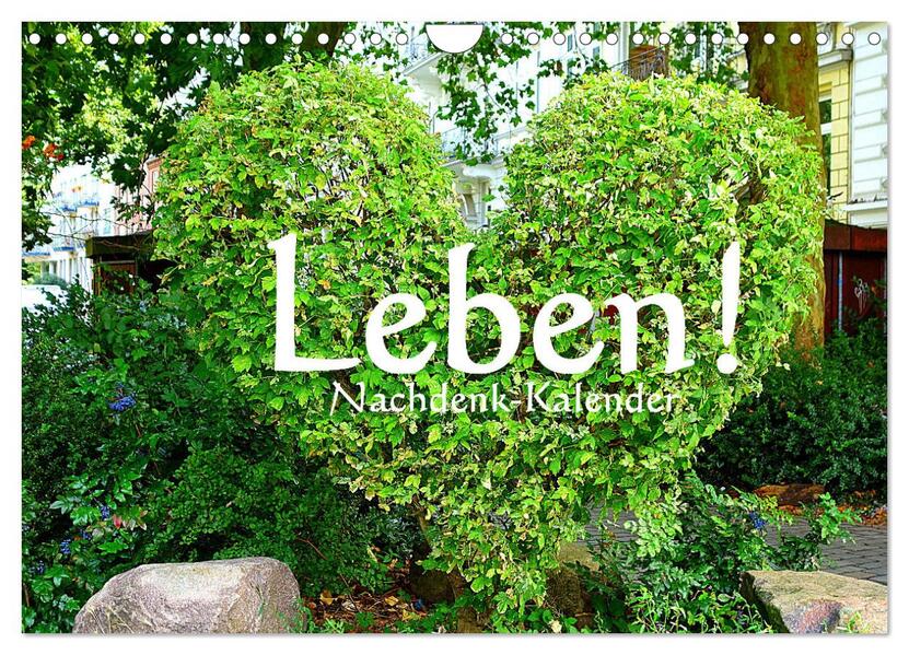 Leben! - Nachdenk-Kalender (Wandkalender 2026 DIN A4 quer) CALVENDO Monatskalender