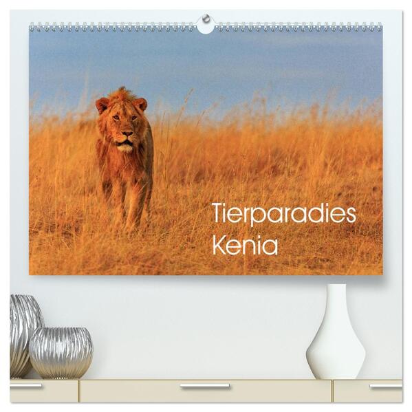 Tierparadies Kenia (hochwertiger Premium Wandkalender 2026 DIN A2 quer) Kunstdruck in Hochglanz