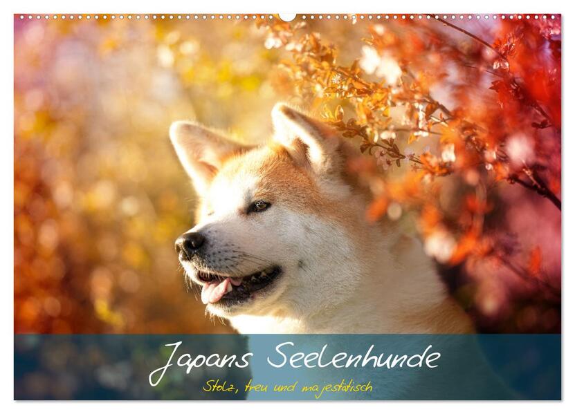 Japans Seelenhunde (Wandkalender 2026 DIN A2 quer) CALVENDO Monatskalender
