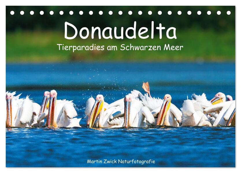 Donaudelta - Tierparadies am Schwarzen Meer (Tischkalender 2026 DIN A5 quer) CALVENDO Monatskalender