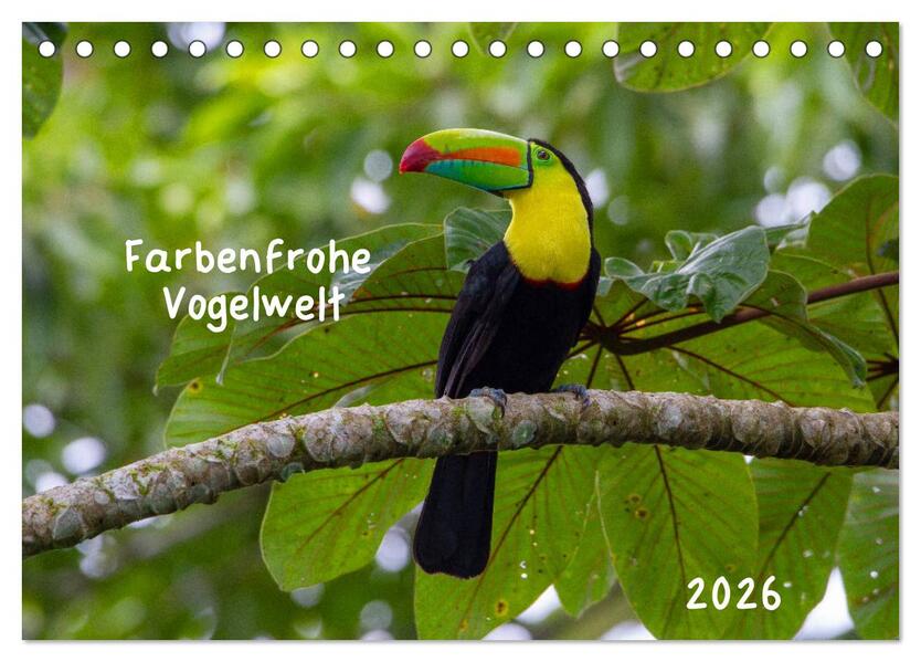 Farbenfrohe Vogelwelt (Tischkalender 2026 DIN A5 quer) CALVENDO Monatskalender
