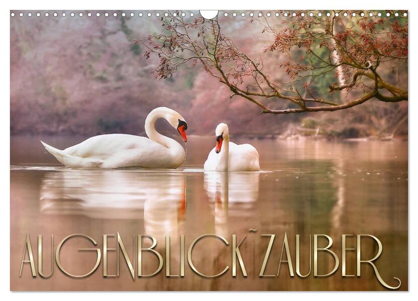 AUGENBLICK ZAUBER (Wandkalender 2026 DIN A3 quer) CALVENDO Monatskalender