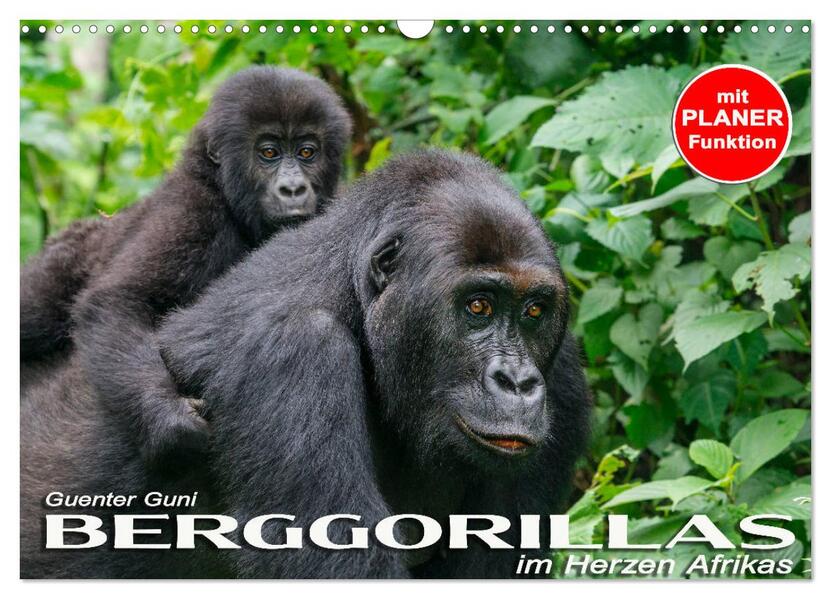 Berggorillas im Herzen Afrikas (Wandkalender 2026 DIN A3 quer) CALVENDO Monatskalender