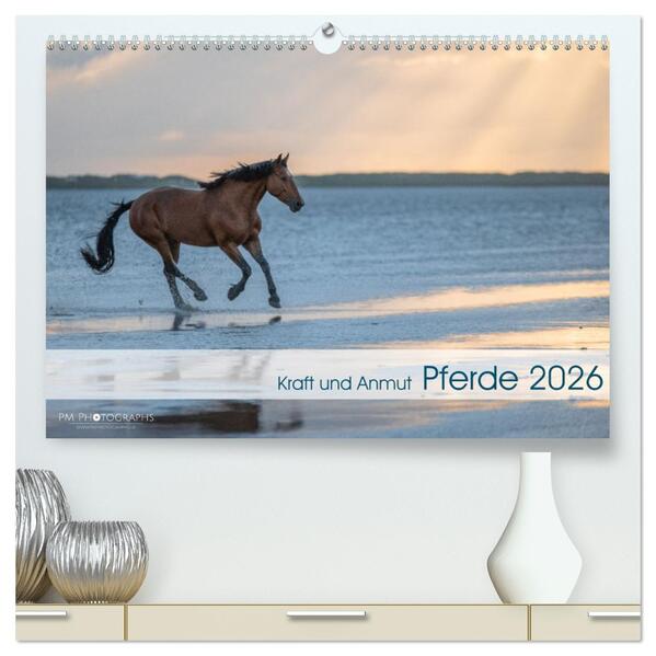 Pferde 2026 Kraft und Anmut (hochwertiger Premium Wandkalender 2026 DIN A2 quer) Kunstdruck in Hochglanz