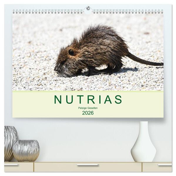 NUTRIAS - Pelzige Gesellen (hochwertiger Premium Wandkalender 2026 DIN A2 quer) Kunstdruck in Hochglanz