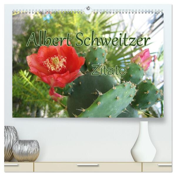 Albert Schweitzer Zitate (hochwertiger Premium Wandkalender 2026 DIN A2 quer) Kunstdruck in Hochglanz