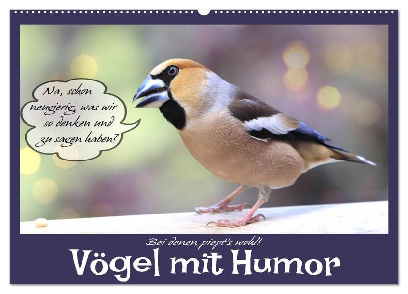 Vögel mit Humor (Wandkalender 2026 DIN A2 quer) CALVENDO Monatskalender