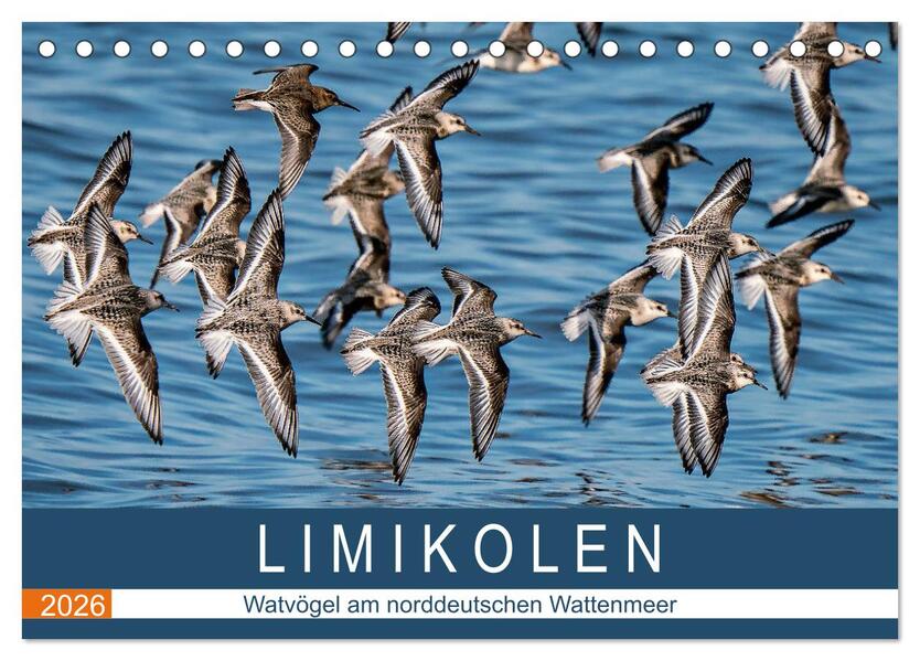 Limikolen - Watvögel am norddeutschen Wattenmeer (Tischkalender 2026 DIN A5 quer) CALVENDO Monatskalender