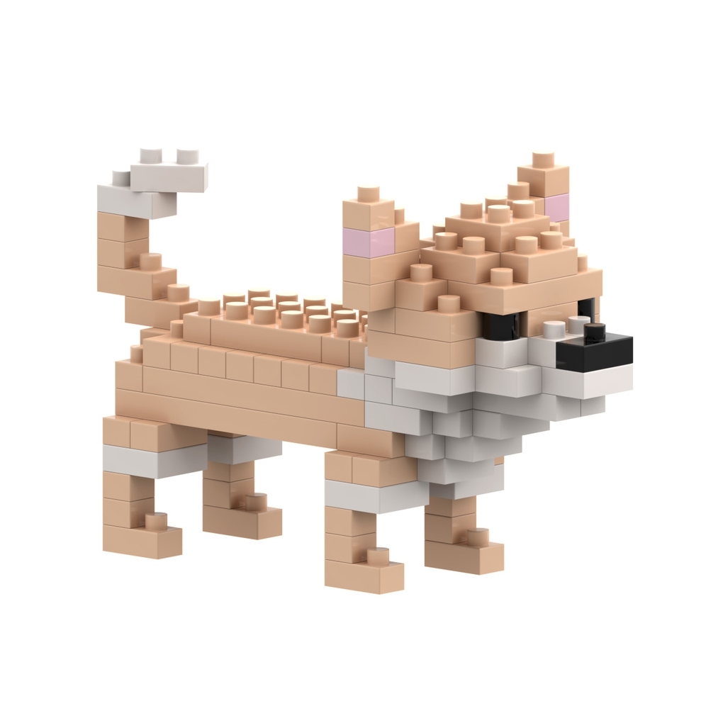 Brixies - Chihuahua Level 1