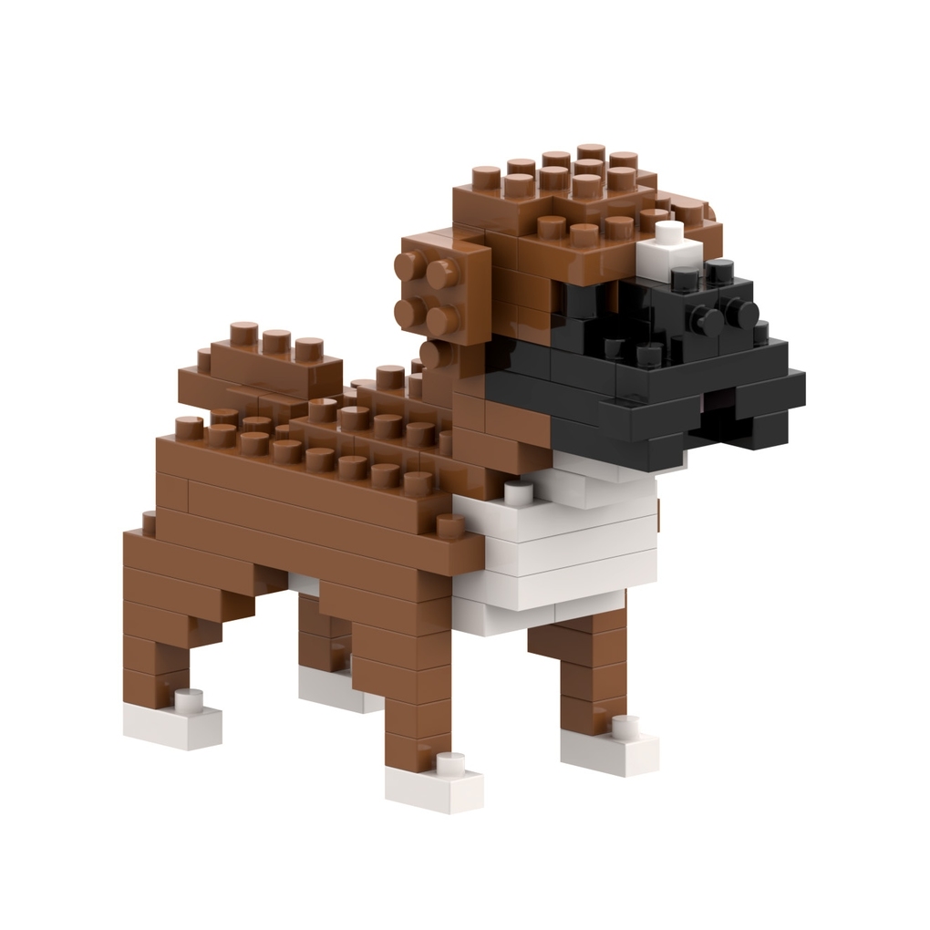 Brixies - Boxer Level 1
