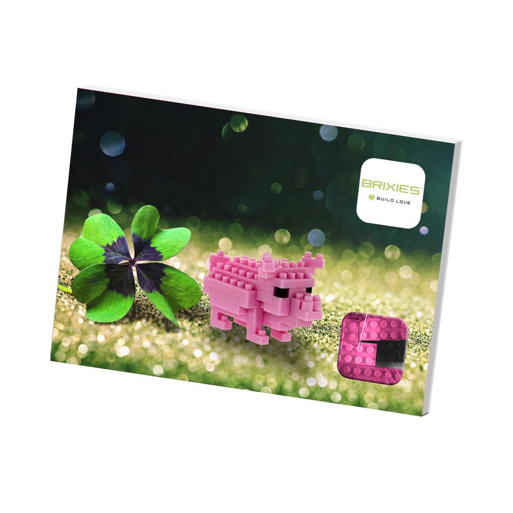BRIXIES 220052 - Postkarte Glücksschwein 3D Konstruktionsbausatz aus Ministeinen 66 Teile
