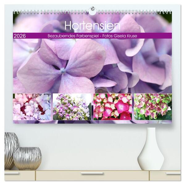 Hortensien Bezauberndes Farbenspiel (hochwertiger Premium Wandkalender 2026 DIN A2 quer) Kunstdruck in Hochglanz
