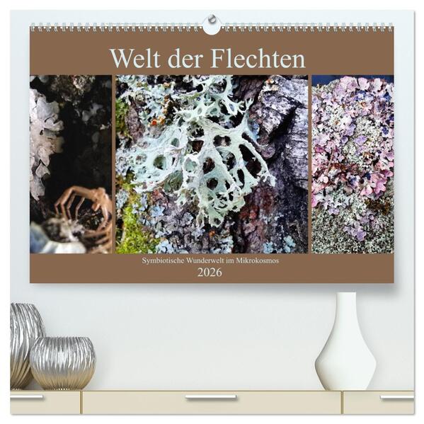 Welt der Flechten (hochwertiger Premium Wandkalender 2026 DIN A2 quer) Kunstdruck in Hochglanz