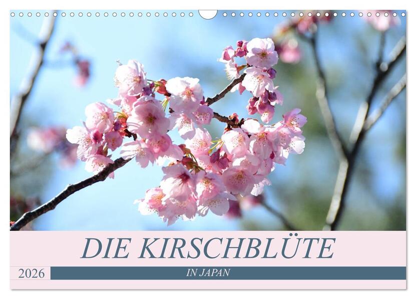 Die Kirschblüte in Japan (Wandkalender 2026 DIN A3 quer) CALVENDO Monatskalender