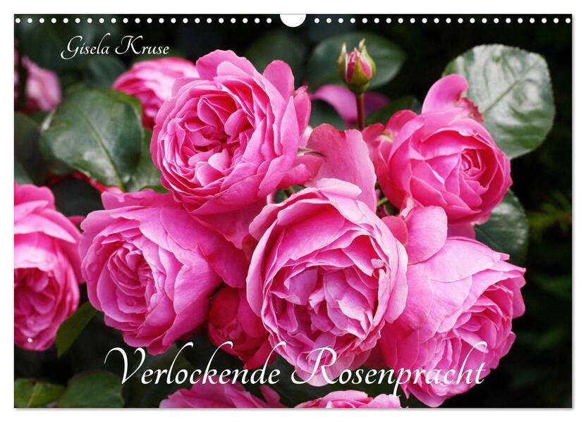 Verlockende Rosenpracht (Wandkalender 2026 DIN A3 quer) CALVENDO Monatskalender