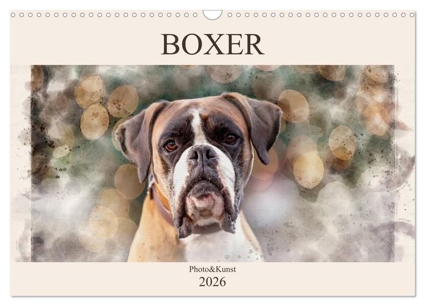 Boxer Photo&Kunst (Wandkalender 2026 DIN A3 quer) CALVENDO Monatskalender