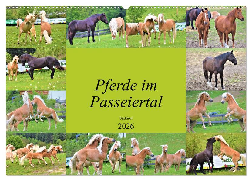 Pferde im Passeiertal (Wandkalender 2026 DIN A2 quer) CALVENDO Monatskalender