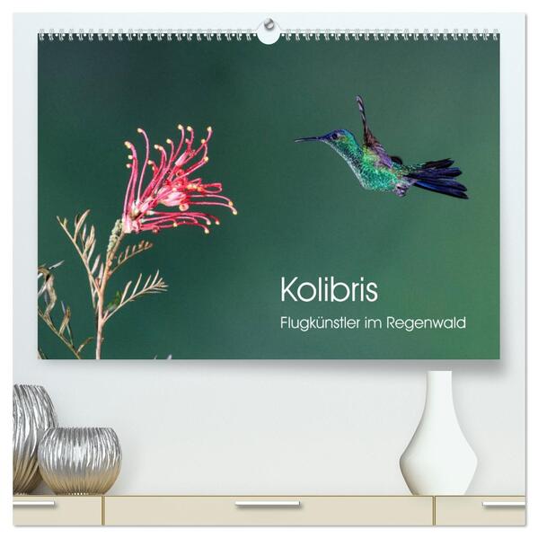 Kolibris - Flugkünstler im Regenwald (hochwertiger Premium Wandkalender 2026 DIN A2 quer) Kunstdruck in Hochglanz