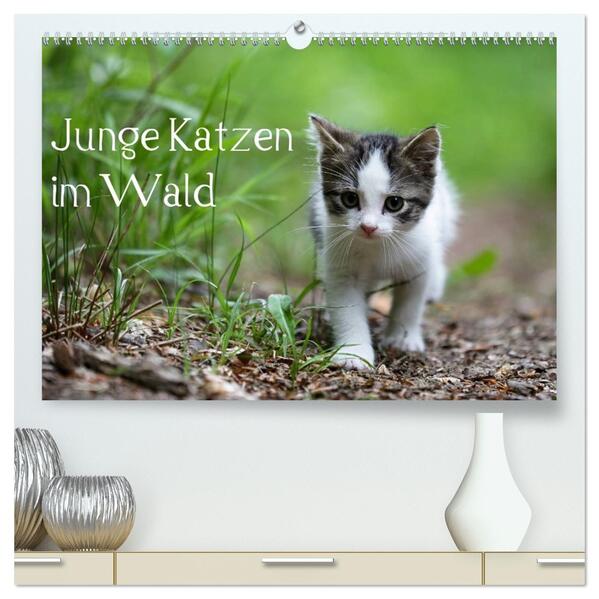 Junge Katzen im Wald (hochwertiger Premium Wandkalender 2026 DIN A2 quer) Kunstdruck in Hochglanz