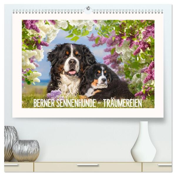 Berner Sennenhunde - Träumereien (hochwertiger Premium Wandkalender 2026 DIN A2 quer) Kunstdruck in Hochglanz