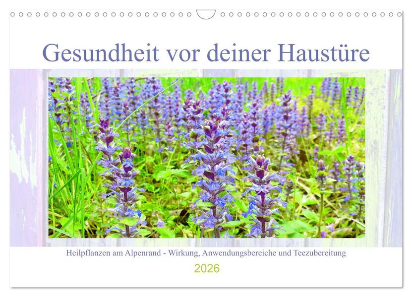 Gesundheit vor deiner Haustüre - Heilpflanzen am Alpenrand - Wirkung Anwendungsbereiche und Teezubereitung (Wandkalender 2026 DIN A3 quer) CALVENDO Monatskalender