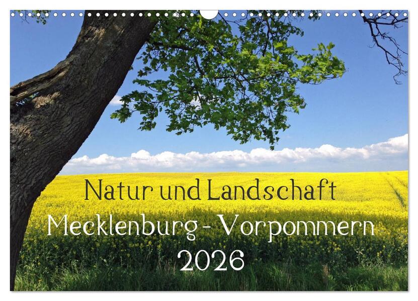 Natur und Landschaft Mecklenburg - Vorpommern 2026 (Wandkalender 2026 DIN A3 quer) CALVENDO Monatskalender