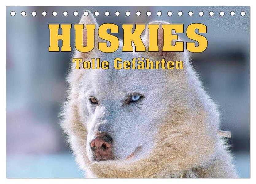 Huskies - Tolle Gefährten (Tischkalender 2026 DIN A5 quer) CALVENDO Monatskalender