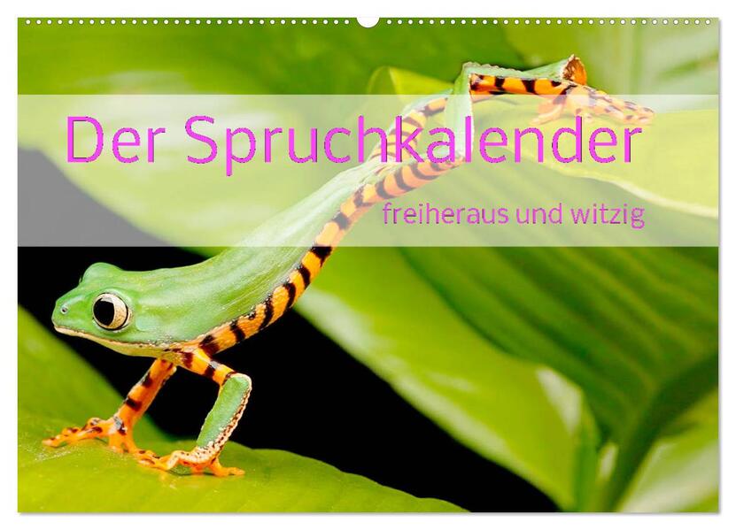 Der Spruchkalender - freiheraus und witzig (Wandkalender 2026 DIN A2 quer) CALVENDO Monatskalender