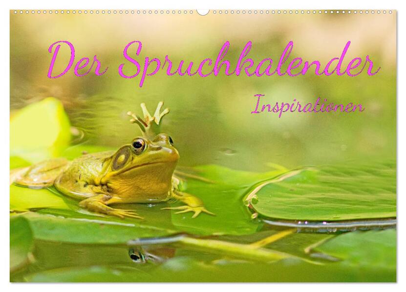 Der Spruchkalender - Inspirationen (Wandkalender 2026 DIN A2 quer) CALVENDO Monatskalender