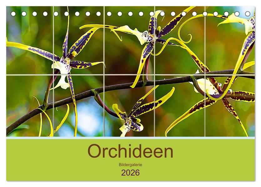 Orchideen Bildergalerie (Tischkalender 2026 DIN A5 quer) CALVENDO Monatskalender