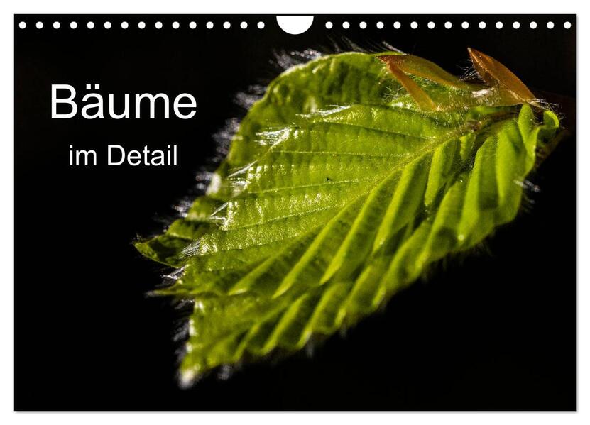 Bäume im Detail (Wandkalender 2026 DIN A4 quer) CALVENDO Monatskalender