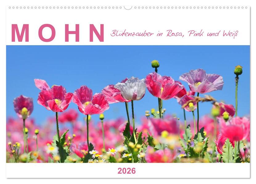 Mohn Blütenzauber in Rosa Pink und Weiß (Wandkalender 2026 DIN A2 quer) CALVENDO Monatskalender