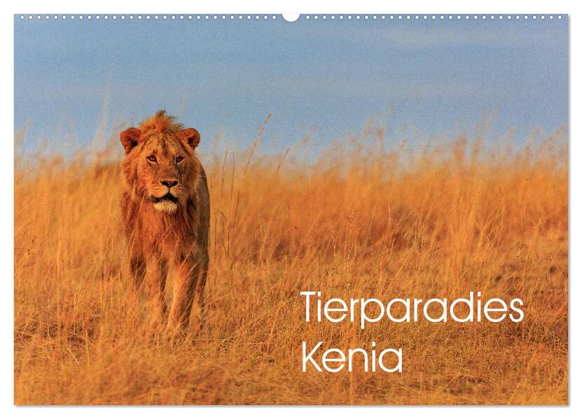 Tierparadies Kenia (Wandkalender 2026 DIN A2 quer) CALVENDO Monatskalender