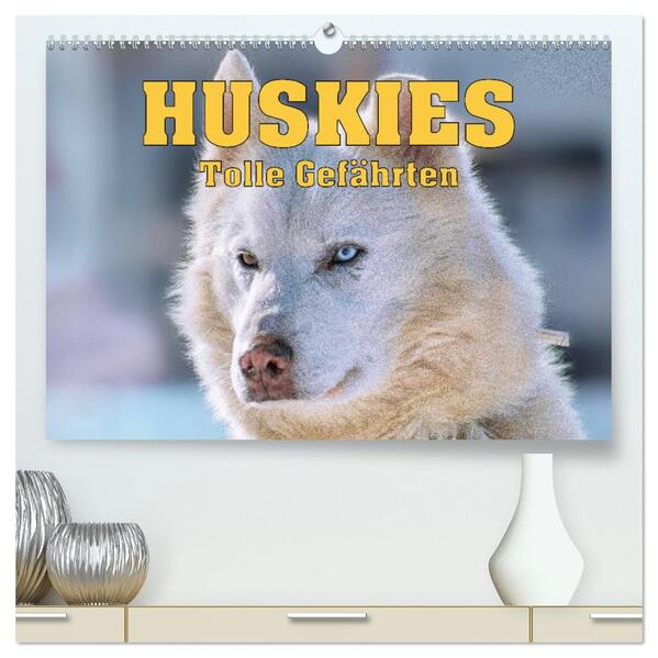 Huskies - Tolle Gefährten (hochwertiger Premium Wandkalender 2026 DIN A2 quer) Kunstdruck in Hochglanz
