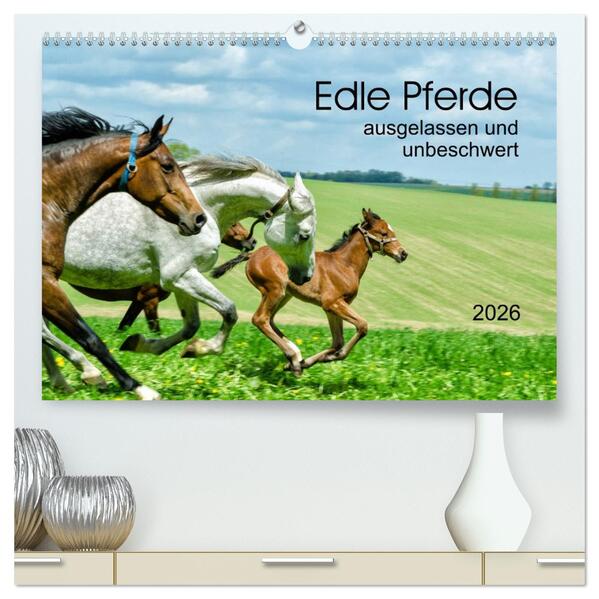 Edle Pferde - ausgelassen und unbeschwert (hochwertiger Premium Wandkalender 2026 DIN A2 quer) Kunstdruck in Hochglanz