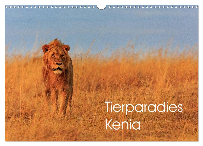 Tierparadies Kenia (Wandkalender 2026 DIN A3 quer) CALVENDO Monatskalender