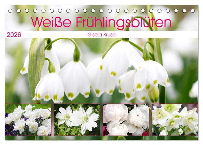 Weiße Frühlingsblüten (Tischkalender 2026 DIN A5 quer) CALVENDO Monatskalender