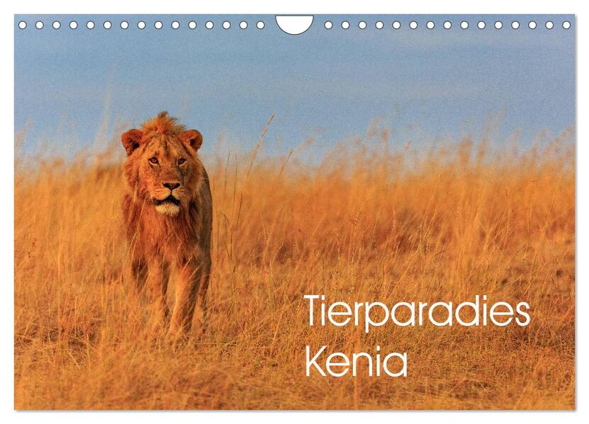 Tierparadies Kenia (Wandkalender 2026 DIN A4 quer) CALVENDO Monatskalender