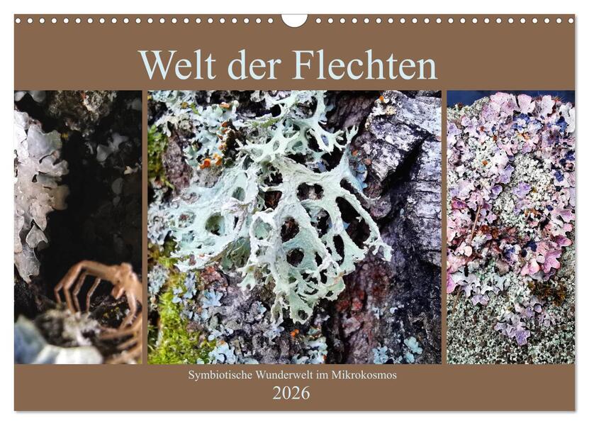 Welt der Flechten (Wandkalender 2026 DIN A3 quer) CALVENDO Monatskalender
