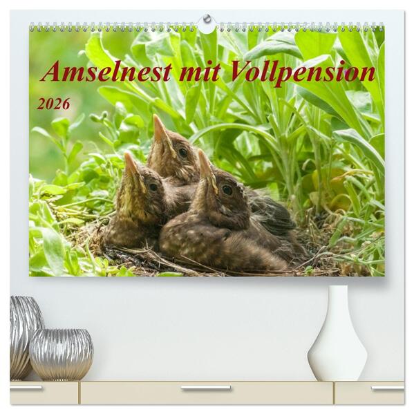 Amselnest mit Vollpension (hochwertiger Premium Wandkalender 2026 DIN A2 quer) Kunstdruck in Hochglanz