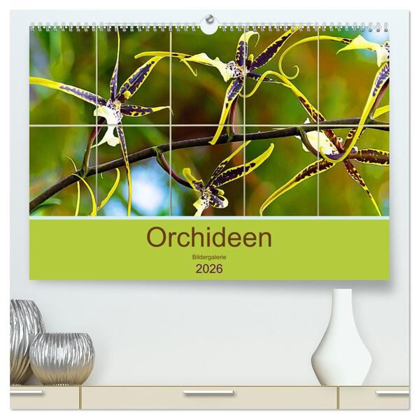 Orchideen Bildergalerie (hochwertiger Premium Wandkalender 2026 DIN A2 quer) Kunstdruck in Hochglanz