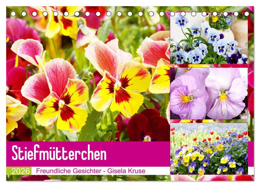 Stiefmütterchen Freundliche Gesichter (Tischkalender 2026 DIN A5 quer) CALVENDO Monatskalender