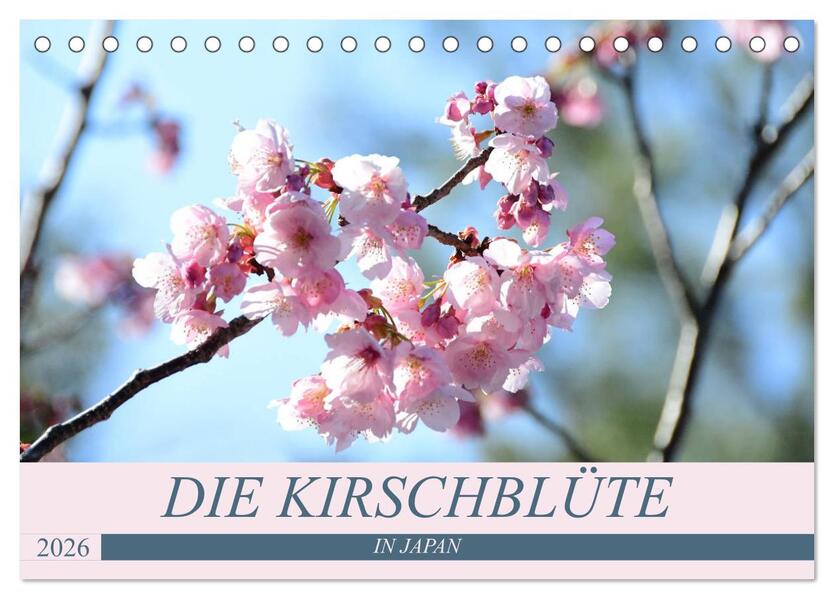 Die Kirschblüte in Japan (Tischkalender 2026 DIN A5 quer) CALVENDO Monatskalender