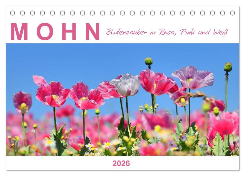 Mohn Blütenzauber in Rosa Pink und Weiß (Tischkalender 2026 DIN A5 quer) CALVENDO Monatskalender