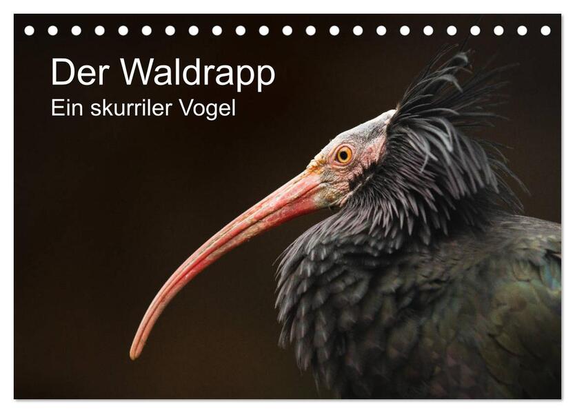 Der Waldrapp - Ein skurriler Vogel (Tischkalender 2026 DIN A5 quer) CALVENDO Monatskalender