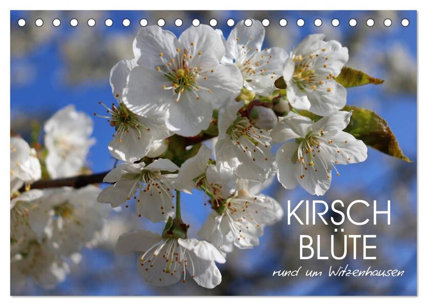 Kirschblüte rund um Witzenhausen (Tischkalender 2026 DIN A5 quer) CALVENDO Monatskalender