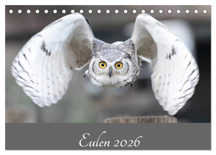 Eulen 2026 (Tischkalender 2026 DIN A5 quer) CALVENDO Monatskalender