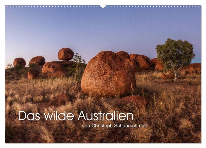 Das wilde Australien (Wandkalender 2026 DIN A2 quer) CALVENDO Monatskalender